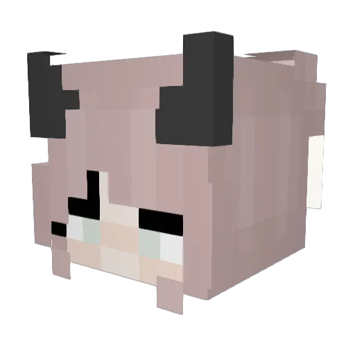 kamiWizardSquish Minecraft avatar head, 3D render