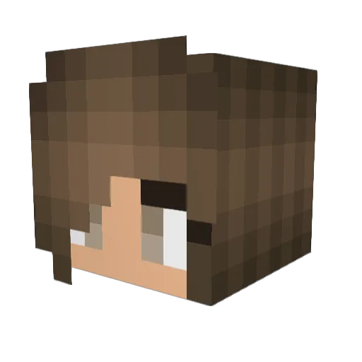 kamibug25 Minecraft avatar head, 3D render