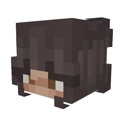 kamilalol Minecraft avatar head, 3D render