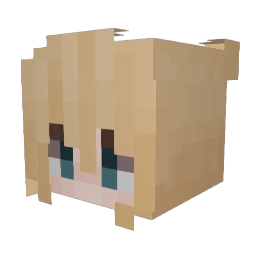 kamilawaters Minecraft avatar head, 3D render