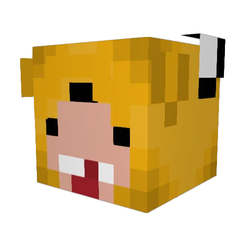 kamilek696969 Minecraft avatar head, 3D render