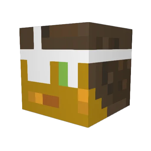 kamilosss1234 Minecraft avatar head, 3D render