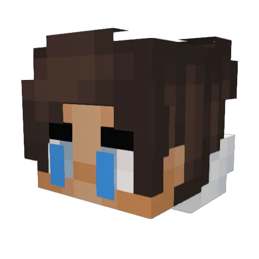 kamkaza Minecraft avatar head, 3D render