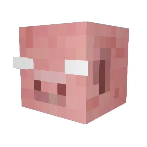 kammie356 Minecraft avatar head, 3D render
