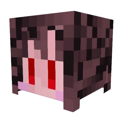 kamosan596 Minecraft avatar head, 3D render