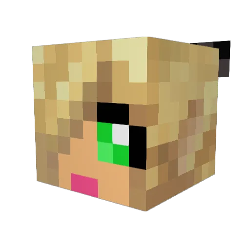 kamselamseben Minecraft avatar head, 3D render