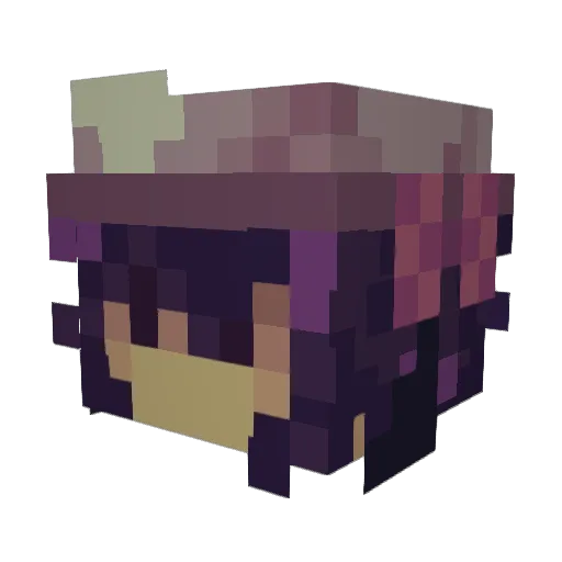 kamsprite Minecraft avatar head, 3D render
