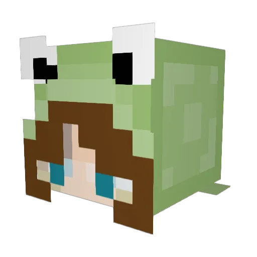 kamtron0 Minecraft avatar head, 3D render