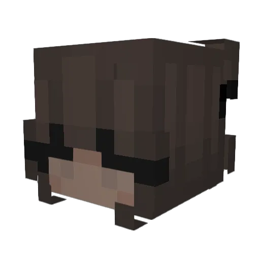 kamyllaa Minecraft avatar head, 3D render