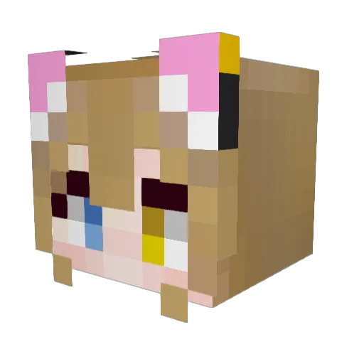 kanaroom Minecraft avatar head, 3D render