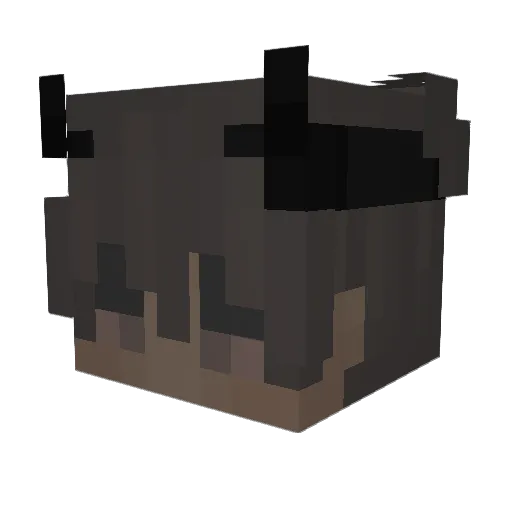 kandawoulfe Minecraft avatar head, 3D render