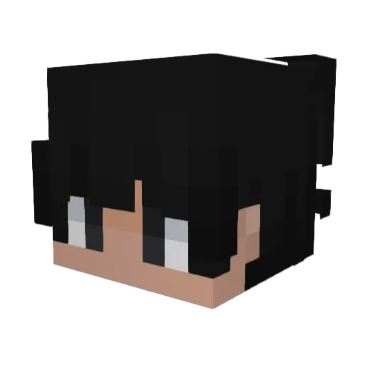 kane1022 Minecraft avatar head, 3D render