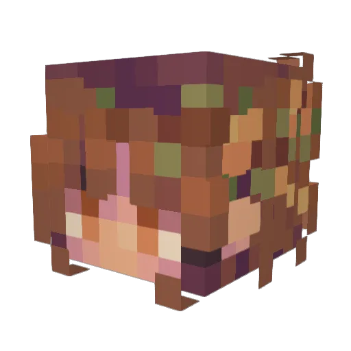kanedataken Minecraft avatar head, 3D render