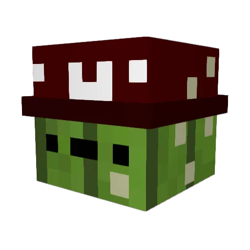 kangaroo3535 Minecraft avatar head, 3D render