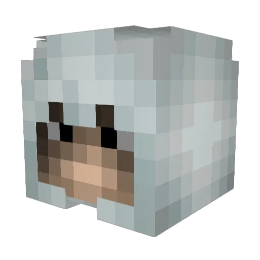 kangarooot Minecraft avatar head, 3D render