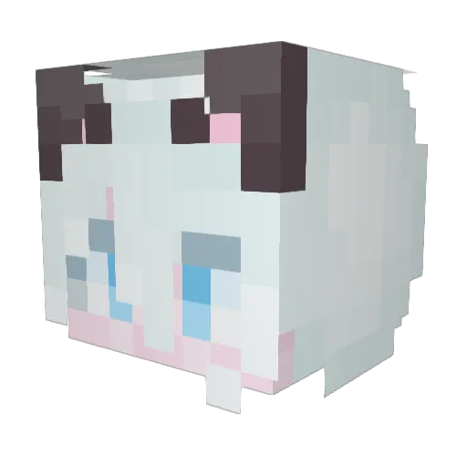 kangbau Minecraft avatar head, 3D render