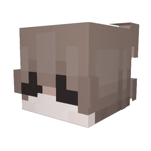 kanglekids Minecraft avatar head, 3D render