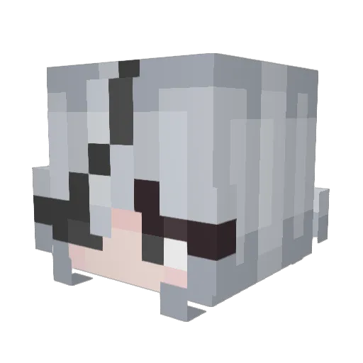 kaniolpng Minecraft avatar head, 3D render