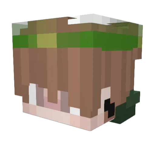 kankovic1 Minecraft avatar head, 3D render