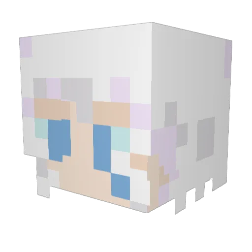 kannanic Minecraft avatar head, 3D render