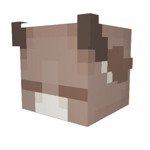 kannoozie Minecraft avatar head, 3D render