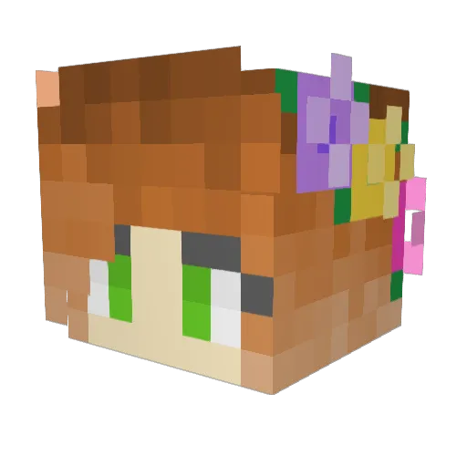 kanooba Minecraft avatar head, 3D render