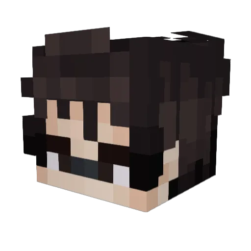 kansakansakan Minecraft avatar head, 3D render