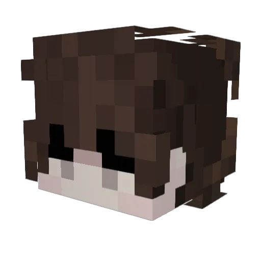 kanshooth Minecraft avatar head, 3D render