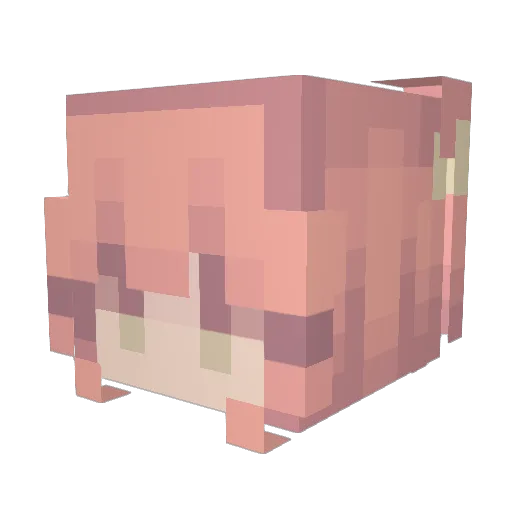 kantarell1 Minecraft avatar head, 3D render