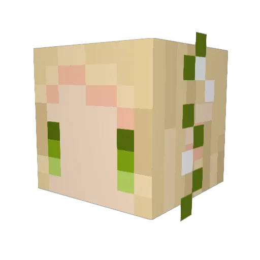 kao0312 Minecraft avatar head, 3D render