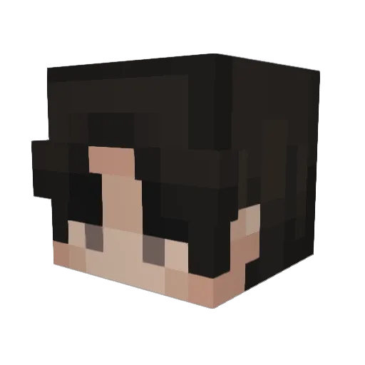 kaoa Minecraft avatar head, 3D render