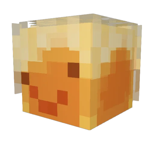 kap10_0 Minecraft avatar head, 3D render