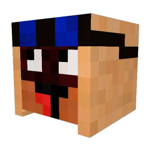 kapawop Minecraft avatar head, 3D render