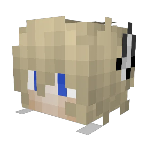 kapelusznik003 Minecraft avatar head, 3D render
