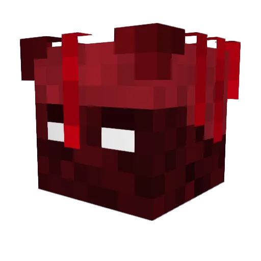 kapikapolol Minecraft avatar head, 3D render