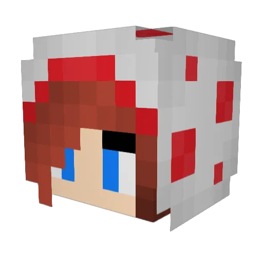 kapikruk Minecraft avatar head, 3D render