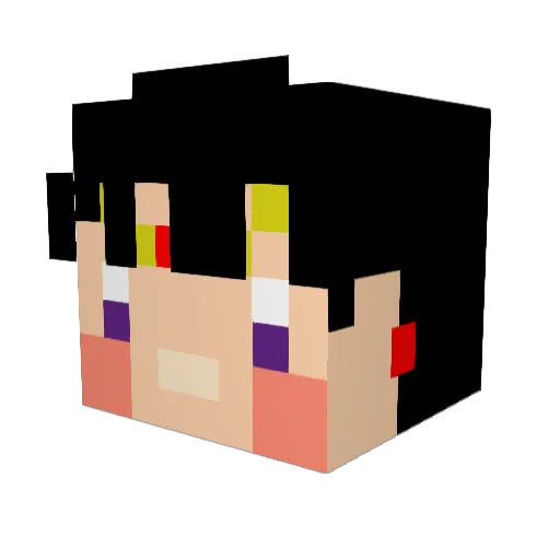kapisan27 Minecraft avatar head, 3D render