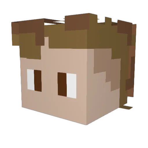 kapiseecret Minecraft avatar head, 3D render