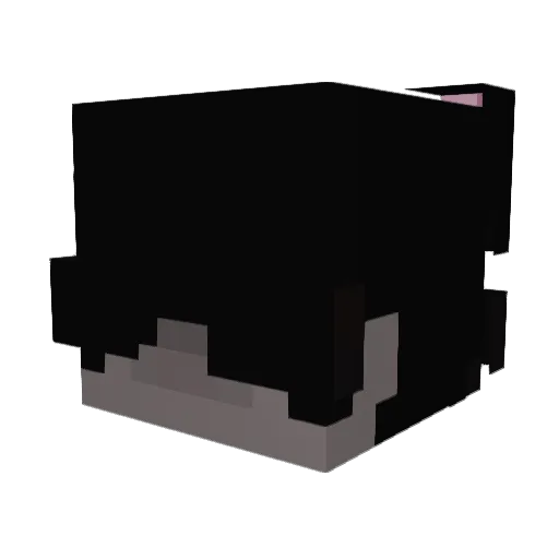 kapiszoon Minecraft avatar head, 3D render