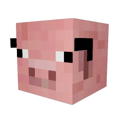 kappachung Minecraft avatar head, 3D render