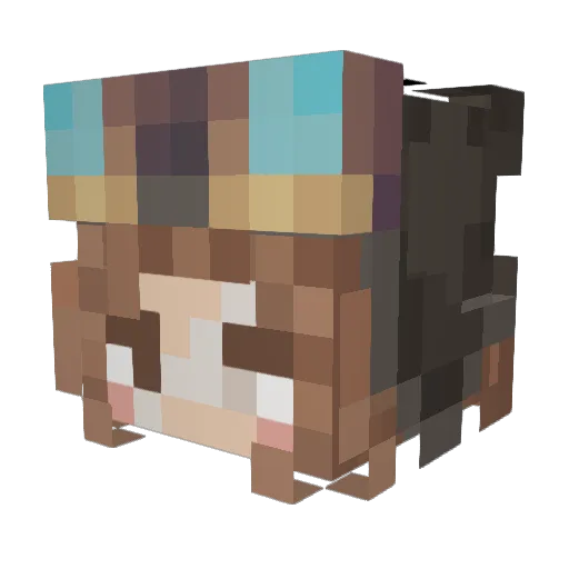 kappuccine Minecraft avatar head, 3D render