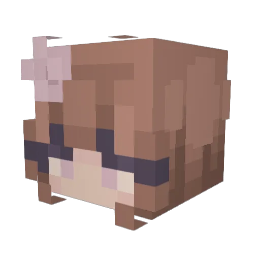 kapvok1 Minecraft avatar head, 3D render