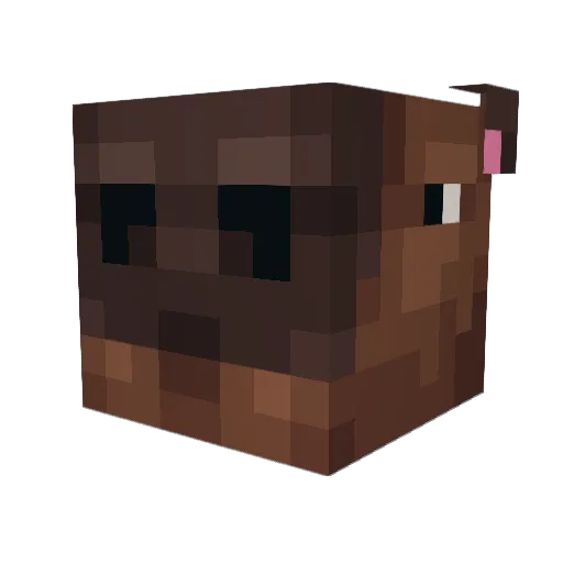 kapybhara Minecraft avatar head, 3D render