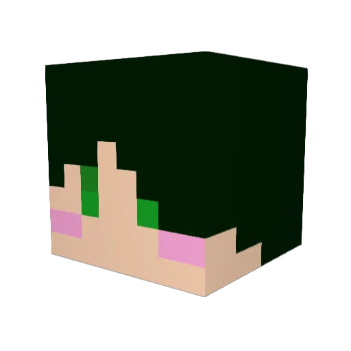 kara_minon Minecraft avatar head, 3D render
