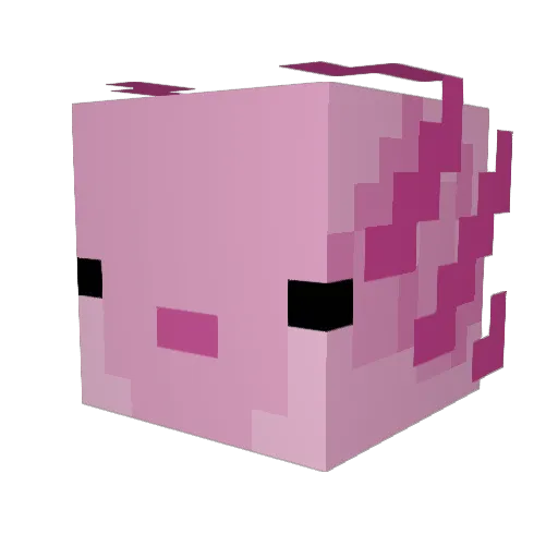 karakarakara1805 Minecraft avatar head, 3D render