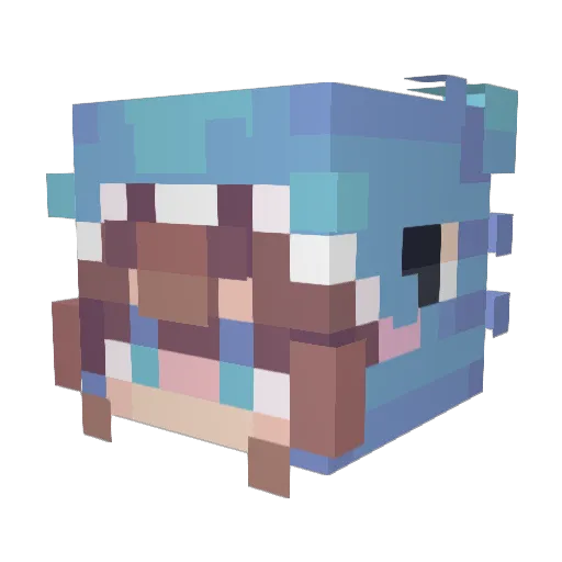 karaseeque Minecraft avatar head, 3D render