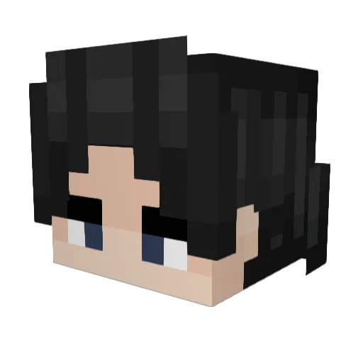karaseirin Minecraft avatar head, 3D render