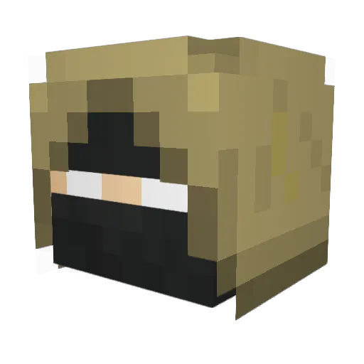 karate234 Minecraft avatar head, 3D render
