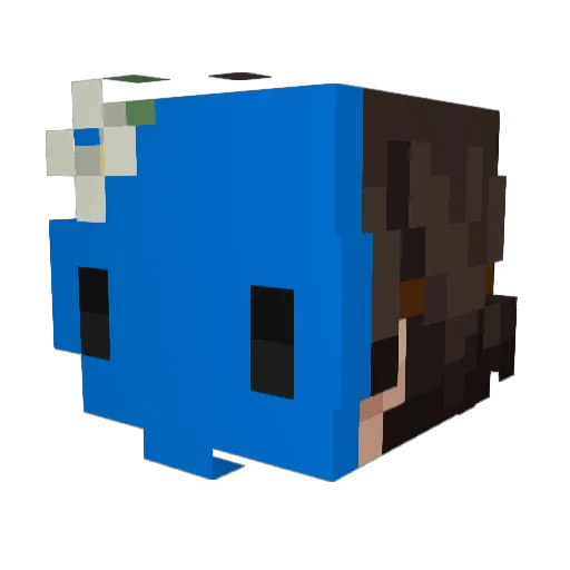 karatedoctor4523 Minecraft avatar head, 3D render