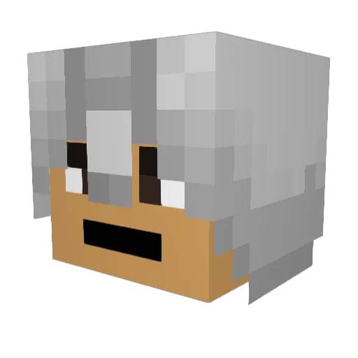 karatekid145 Minecraft avatar head, 3D render